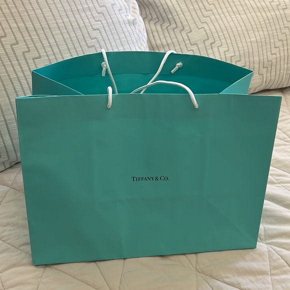 Tiffany & Co. Handbags - Tiffany & Company Shopping Gift Bag tote